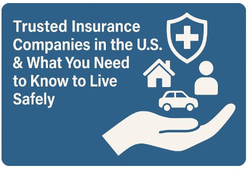 Top Insurance Companies in the U.S. & Insurance Models You Should Know