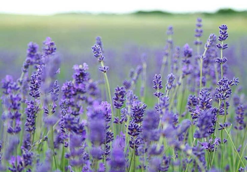 C&oacute;mo detener un ataque de p&aacute;nico: 11 maneras de hacerles frente