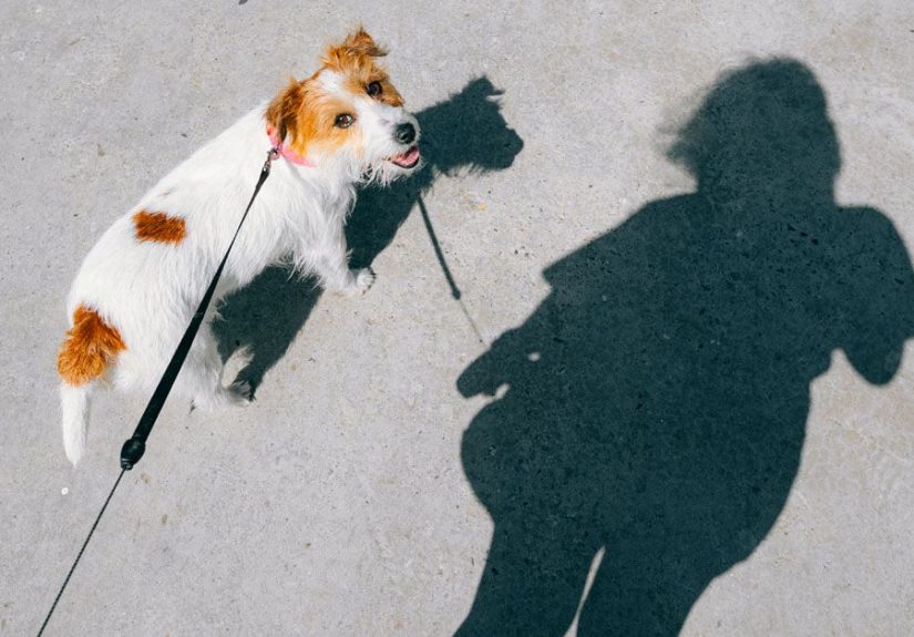 Fart Walking Is TikTok’s New Trend for Digestive Health: Does It Work?