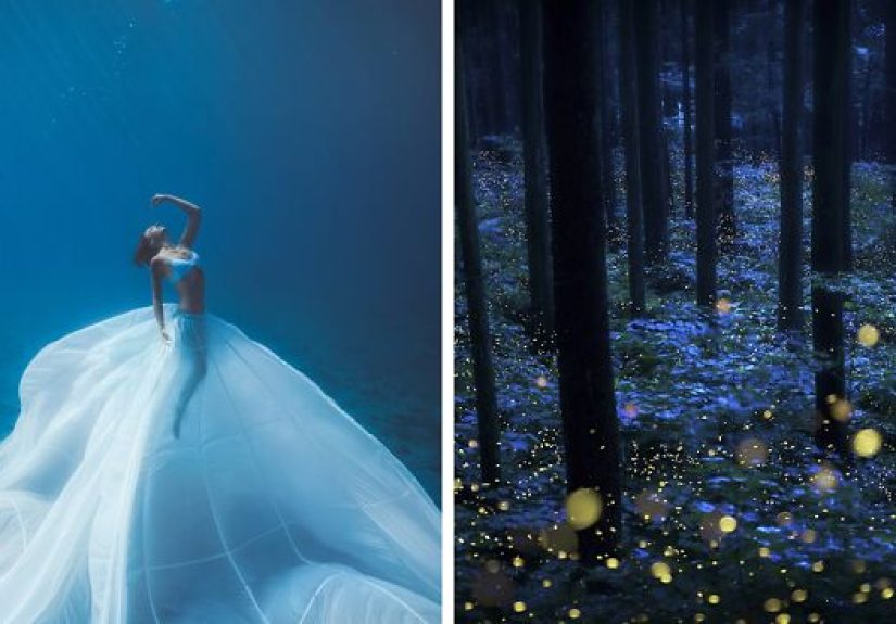 The Tokyo International Foto Awards 2020 Announces The Best Photos From Around The World (30 Pics)