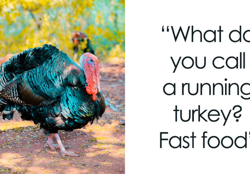 110 Turkey Jokes Dedicated Only To This Majestical Bird