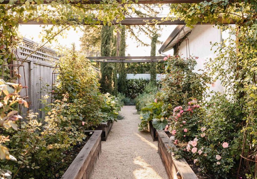 13 Cheap DIY Garden Path Ideas for a Budget-Friendly Walkway