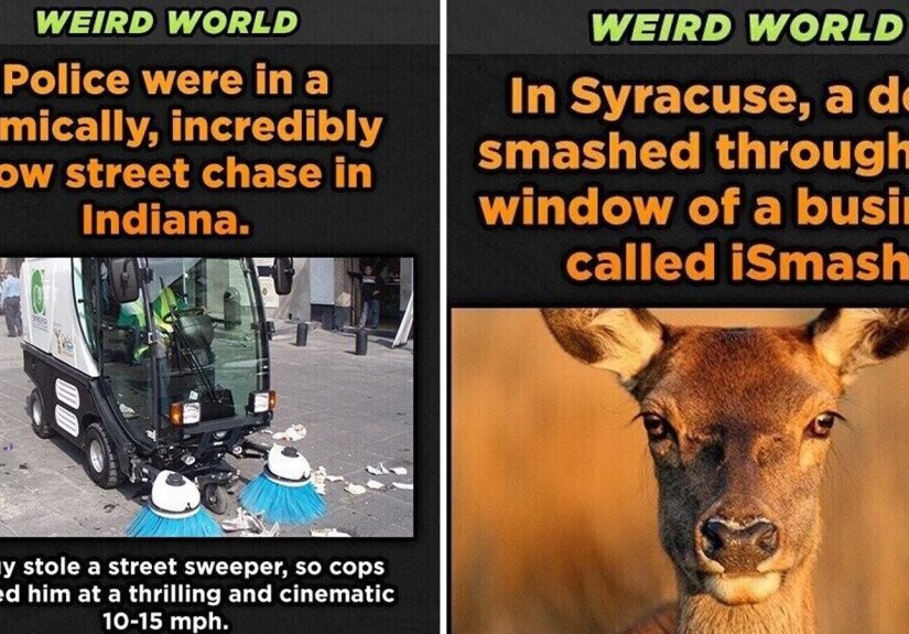 27 Bizarre News Events That Make Us Wish Thanos Would Get Busy With That Whole ‘Snap’ Thing