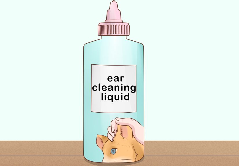 3 Ways to Bathe a Cat Without Water