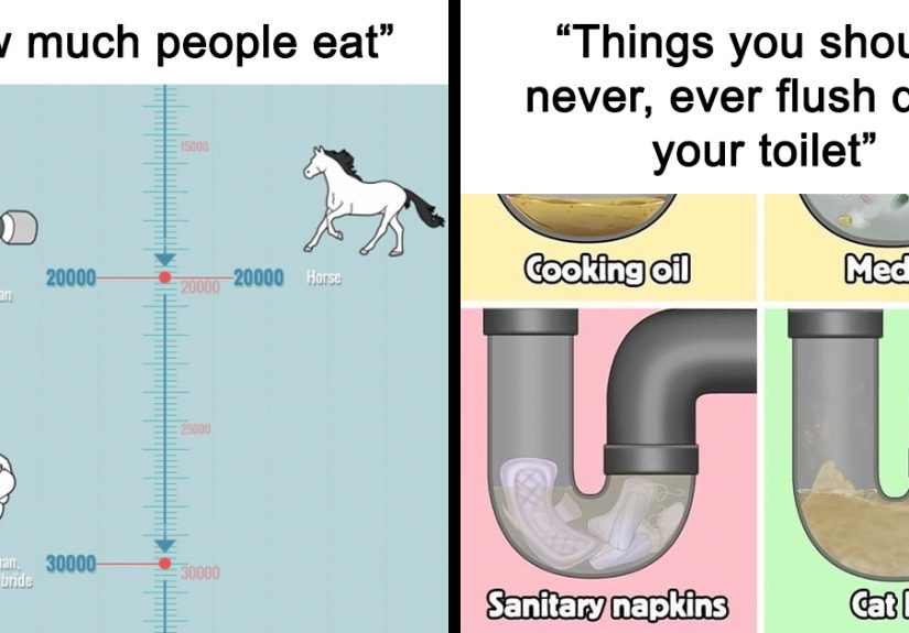 40 Interesting Infographics That Might Change Your Perspective On Things, As Shared On This Online Group