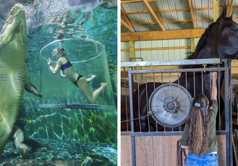 50 Animals So Giant It’s Hard To Believe They’re Real (New Pics)