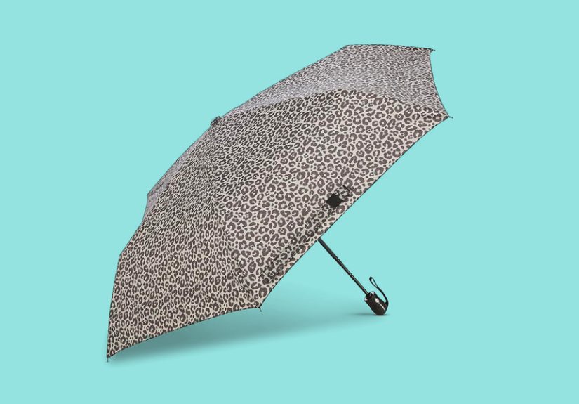 8 Best Travel Umbrellas of 2024, Reviewed by Experts