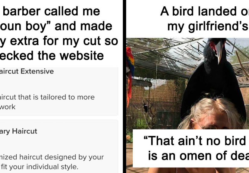 80 Funny Memes That Are Kinda Weird Too