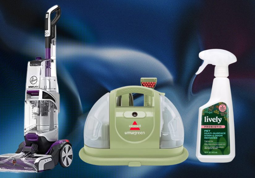 9 Best Carpet Cleaners for Pets in 2024