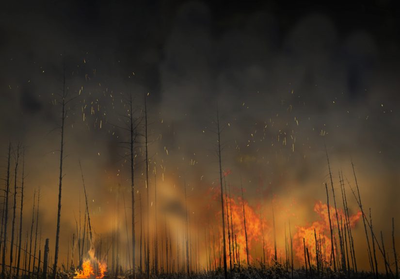 APCIA Annual Meeting 2023: Legal System Abuse, Reinsurance and Wildfires - IA Magazine