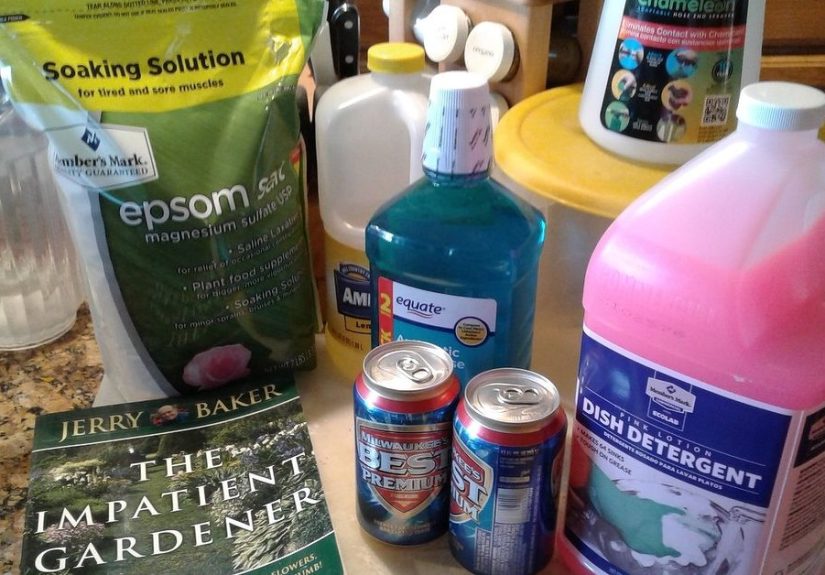 Be a Chef for Your Yard!