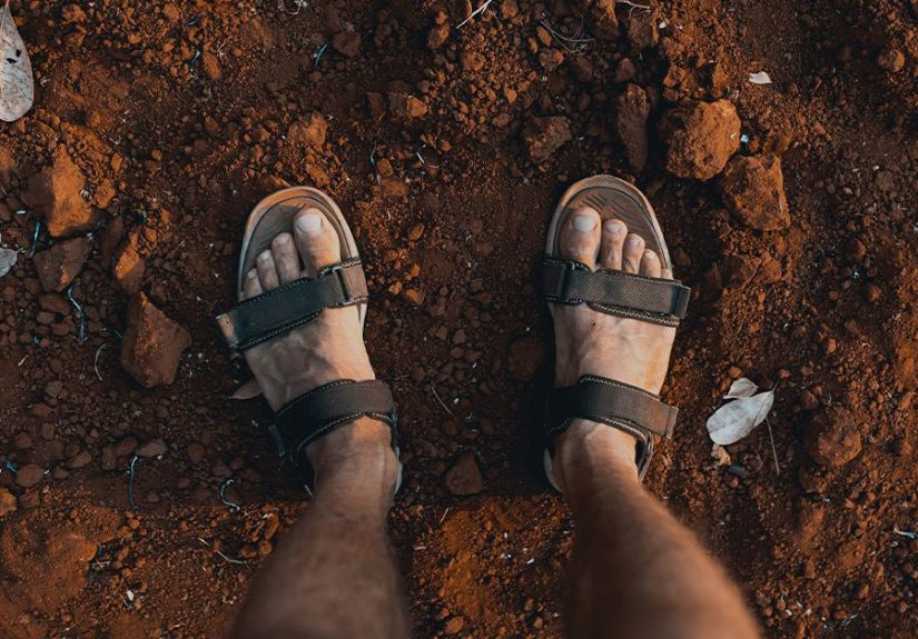 Cutaneous Larva Migrans: Signs, Treatment, & Prevention