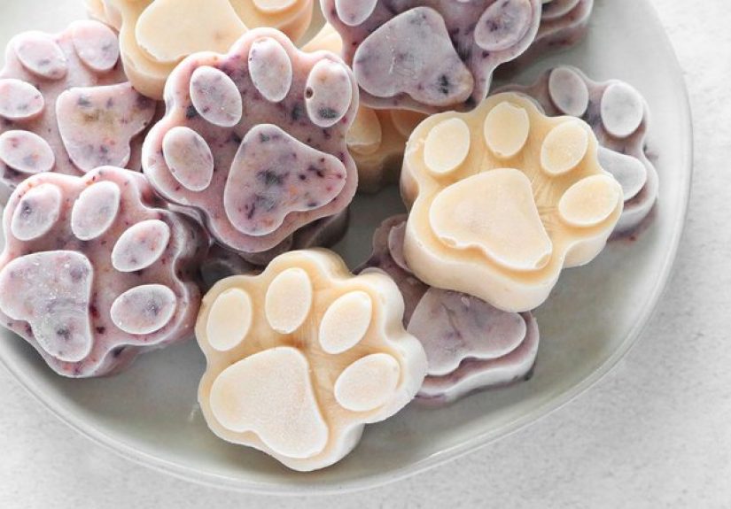 DIY Frozen Dog Treat Popsicles