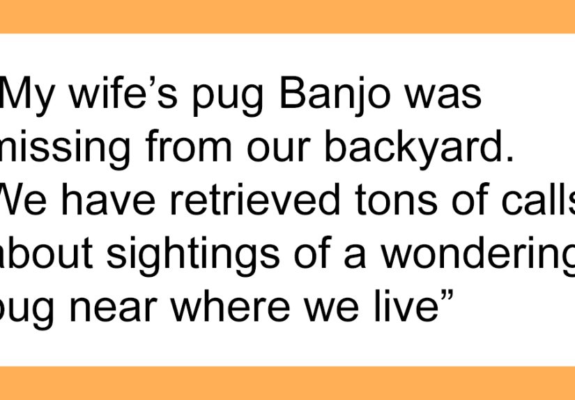 Guy Baffled SIL Stole Family Dog And Gave Him Away, Gets Dragged For Making The Pug Sleep Outside