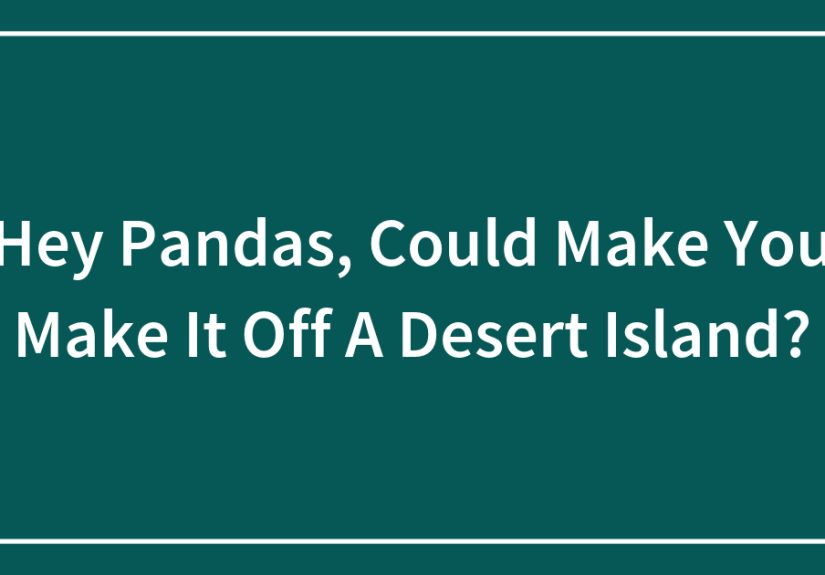 Hey Pandas, Could Make You Make It Off A Desert Island?