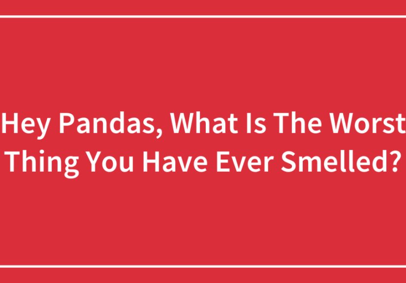 Hey Pandas, What Is The Worst Thing You Have Ever Smelled?