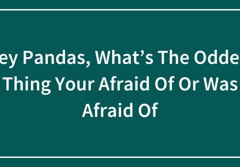 Hey Pandas, What’s The Oddest Thing Your Afraid Of Or Was Afraid Of