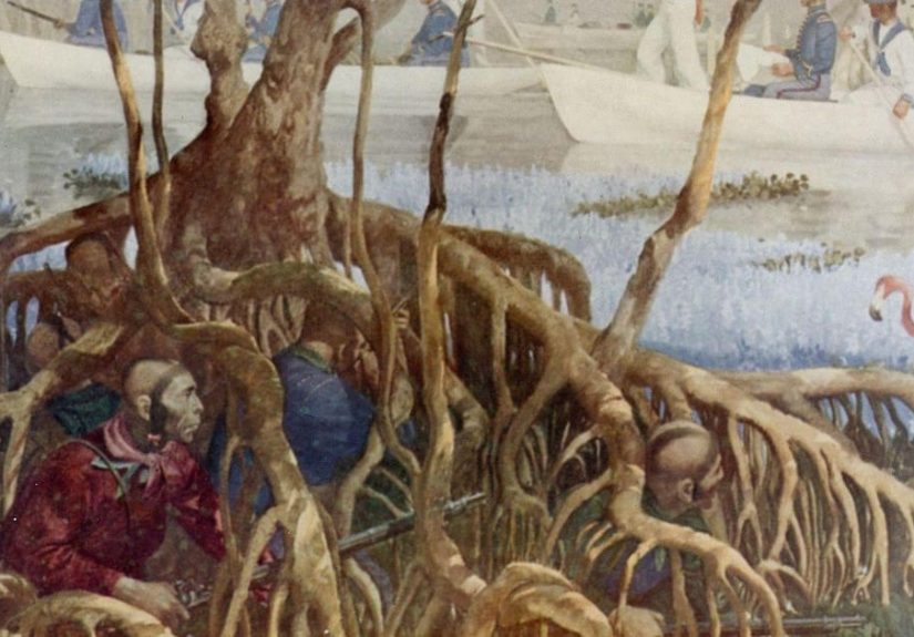 History of The Alliance Between Seminole Indians And Escaped Slaves