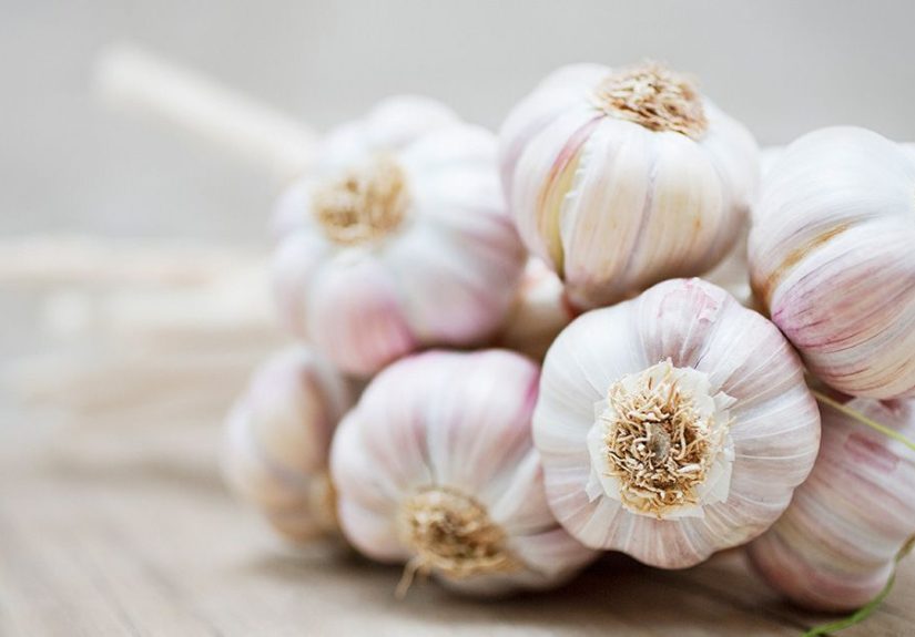 Home Remedies for Gonorrhea: Too Good to Be True?