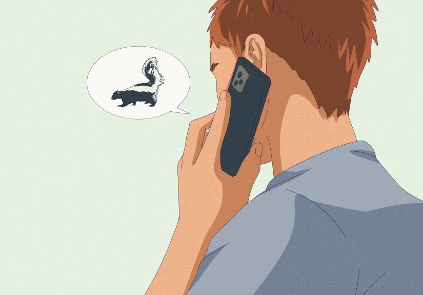 How Far Can a Skunk Spray? All Your Questions Answered