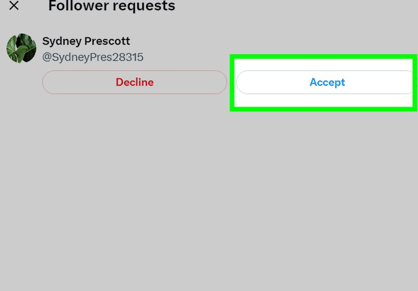 How to Approve Follower Requests on Twitter (X): Easy Guide