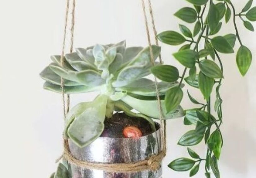 How to Hang a Plant From the Ceiling Without Holes