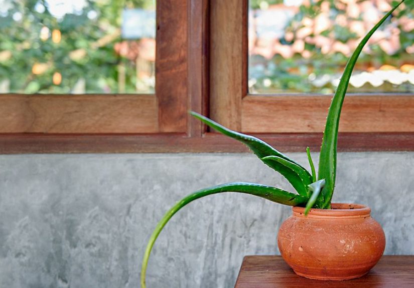 How to Numb Skin Naturally and Medically