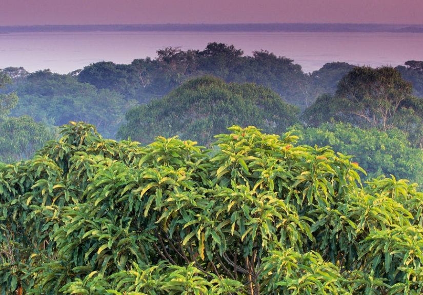 Lost Ancient City Discovered in the Amazon