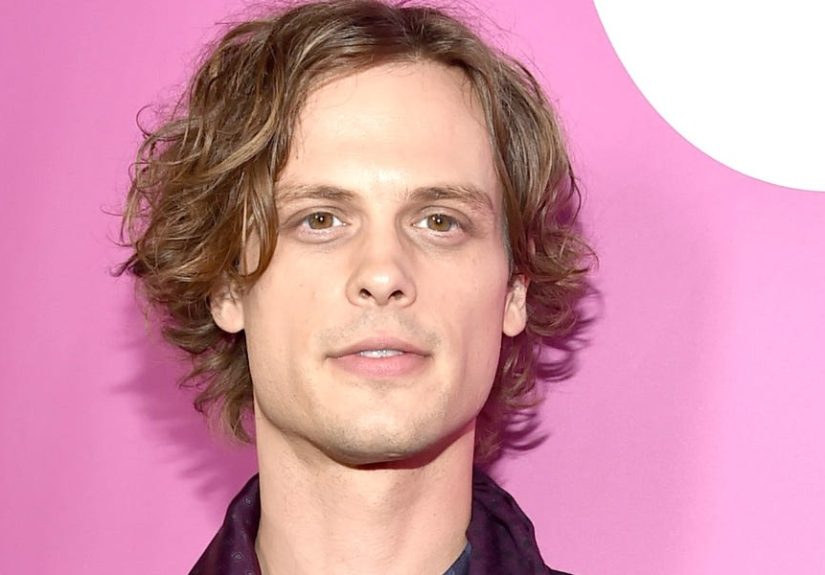 Matthew Gray Gubler Reveals a Thrilling Career Update