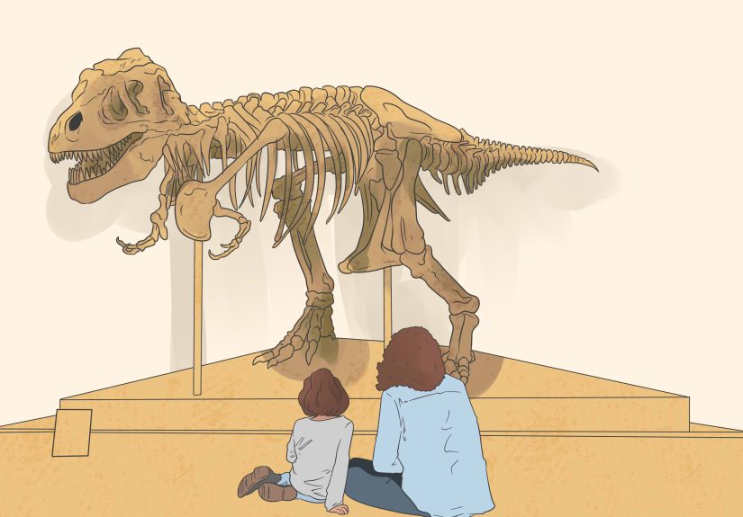 Name That Dinosaur Quiz