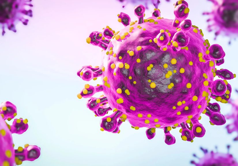 Oropouche Virus (Sloth Fever): What to Know