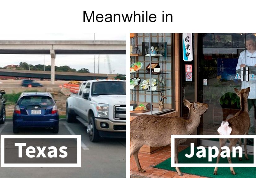 People Are Posting ‘Meanwhile In’ Memes That Hilariously Summarize Different Countries (40 Pics)