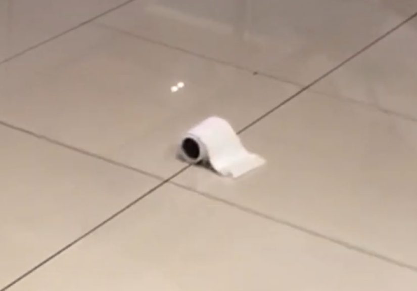 R/C Toilet Paper Roll Is The Hero We Deserve