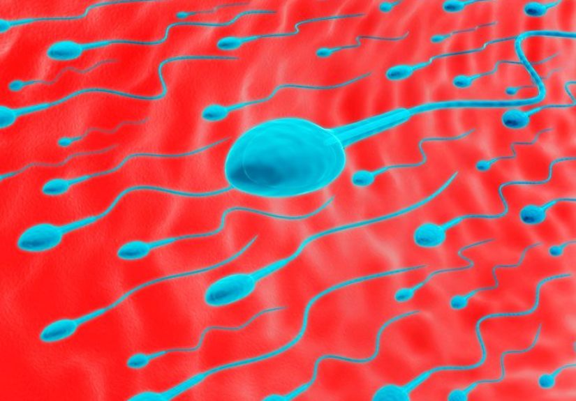 Semen Analysis: Sperm Count Test Procedure and Results