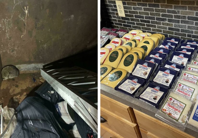 “Struck Gold”: 50 Times People Couldn’t Believe Their Luck While Dumpster Diving (New Pics)