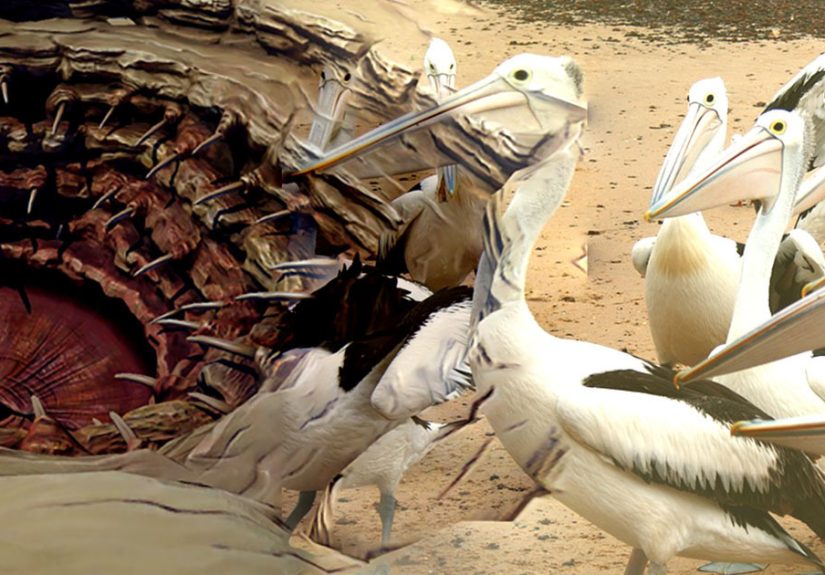 The 6 Most Disturbingly Evil Birds