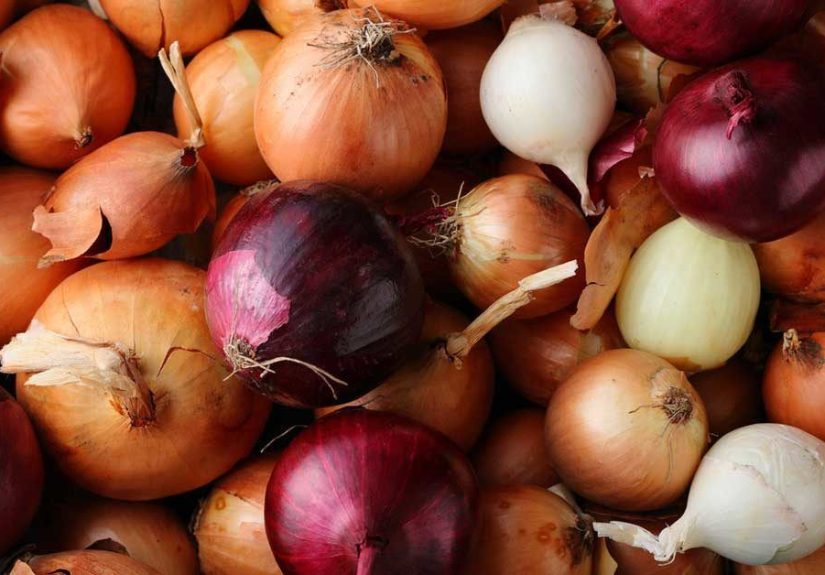 The Best Way to Store Onions