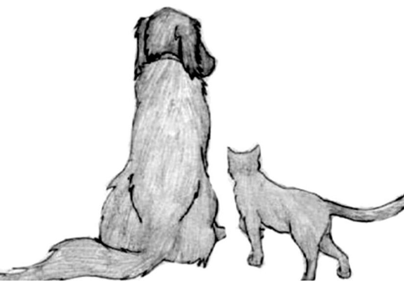 This ‘Goodbye Letter to My Human’ Will Make You Cry