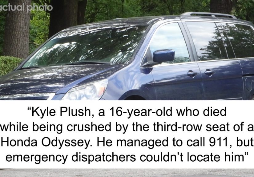 “Today I Learned”: 30 Interesting And Weird Facts To Satisfy Your Curiosity (New Facts)