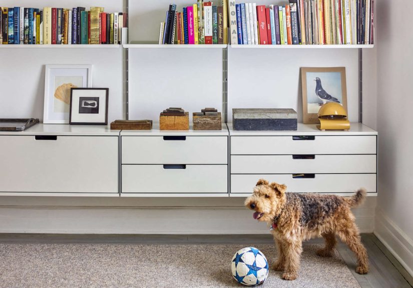 Trending on The Organized Home: For the Dogs