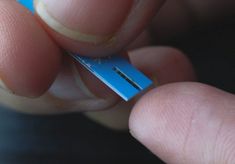 Type 2 Diabetes: Dealing with Hypoglycemia