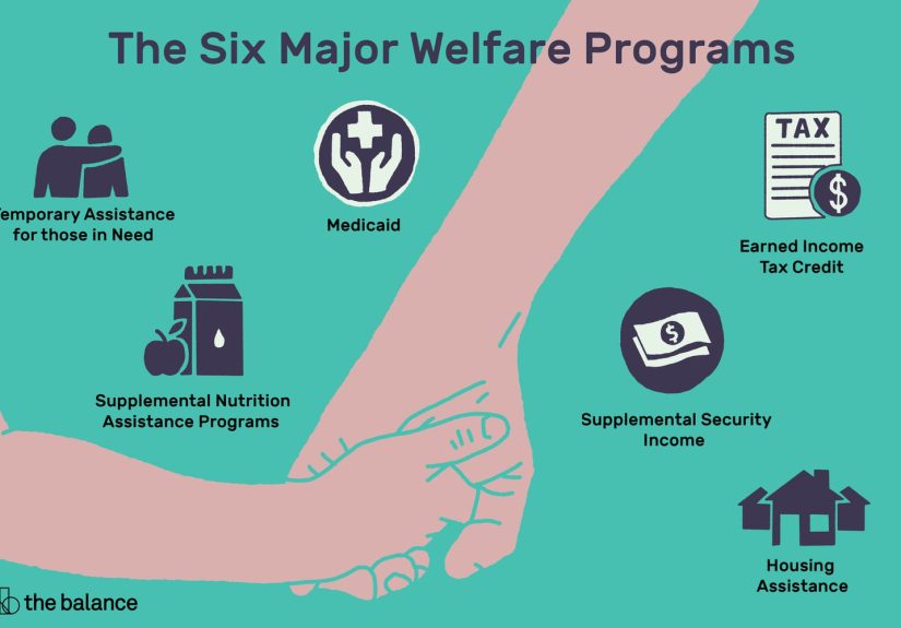 What Is a Welfare Program?
