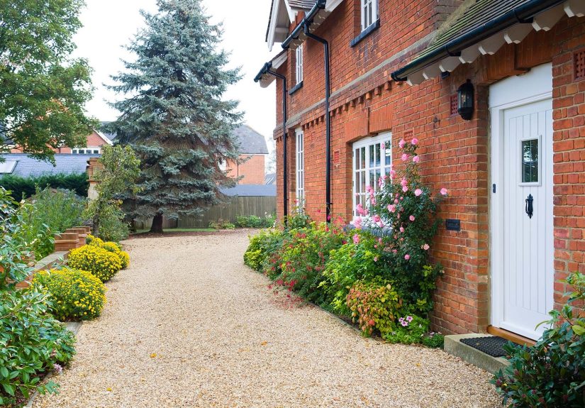 What Is the Most Sustainable Type of Groundcover?