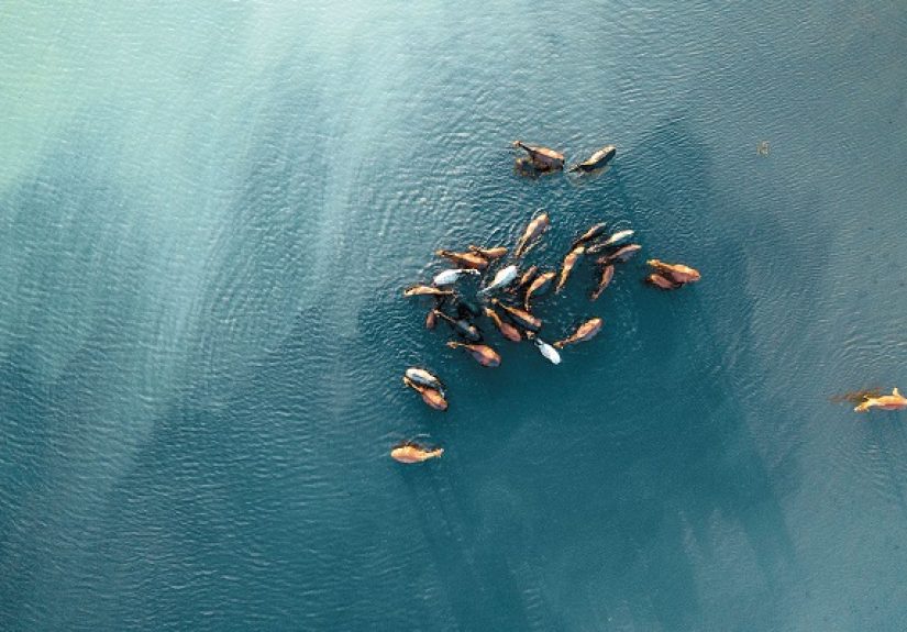 Why Property-Casualty Agencies Should Consider Cross-Selling Opportunities in Life-Health - IA Magazine