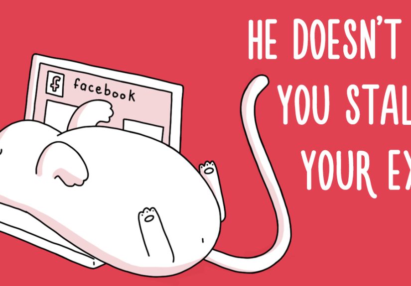 10 Benefits Of Having A Cat In Case Of A Break Up
