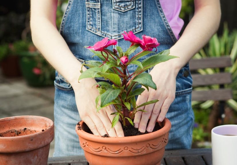 10 Hobbies Experts Say Will Boost Your Productivity