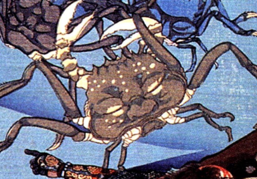 10 Scientific Names With Ridiculous Backstories