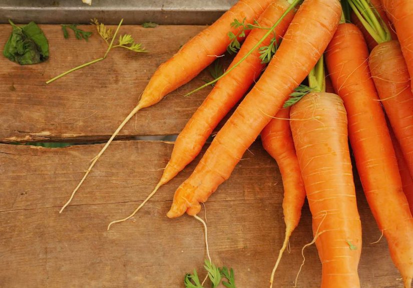 10 Steps for Dehydrating Carrots