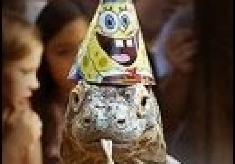 17 Images You Won't Believe Aren't Photoshopped (Part 6)