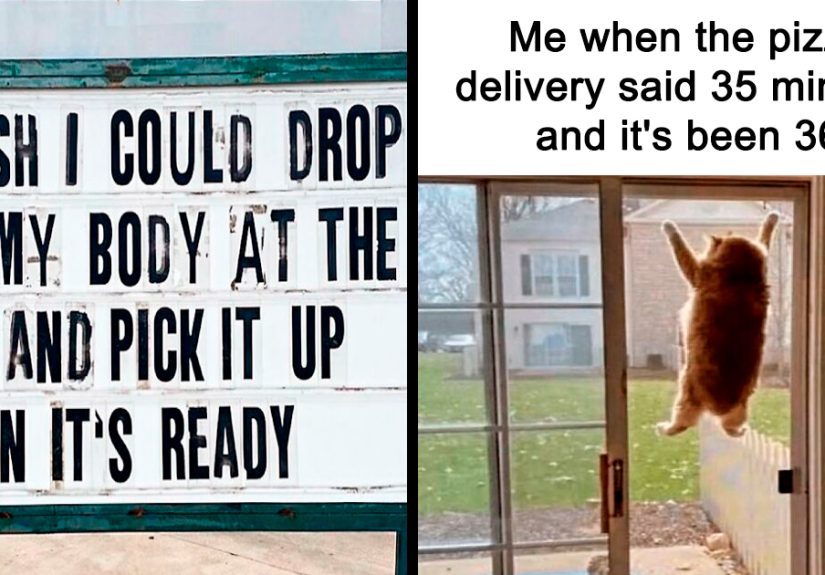 50 Hilarious Memes That Capture The Frustrations Of Dieting And Weight Loss